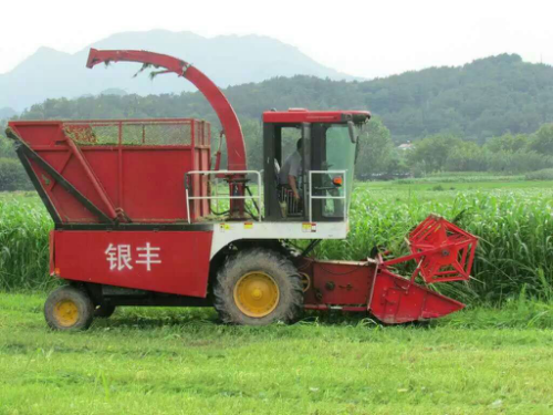 自走式青儲機你選對了嗎？銀豐青儲機好品質(zhì)