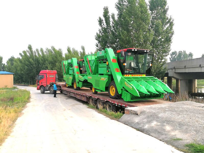 玉米青儲(chǔ)機(jī)各個(gè)部件應(yīng)該怎樣進(jìn)行保養(yǎng)？